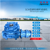 轴装式圆弧圆柱蜗杆减速机-SCW轴装式圆弧圆柱蜗杆减速机