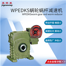 蜗杆减速器-WPEDKS型蜗杆减速器